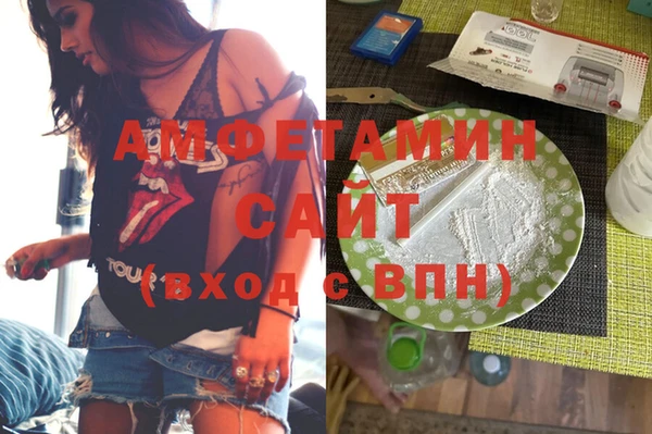 прущие грибы Новодвинск