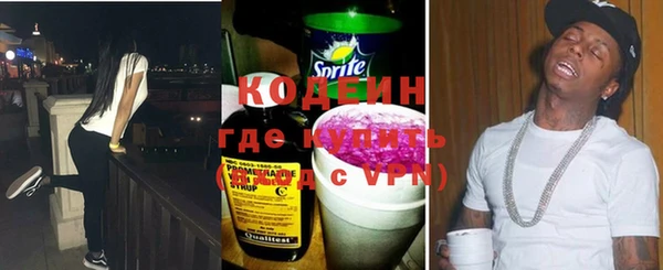 прущие грибы Новодвинск