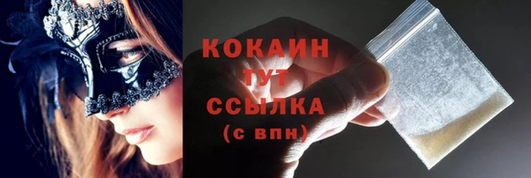 ешки Новозыбков