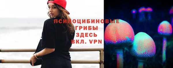 ешки Новозыбков