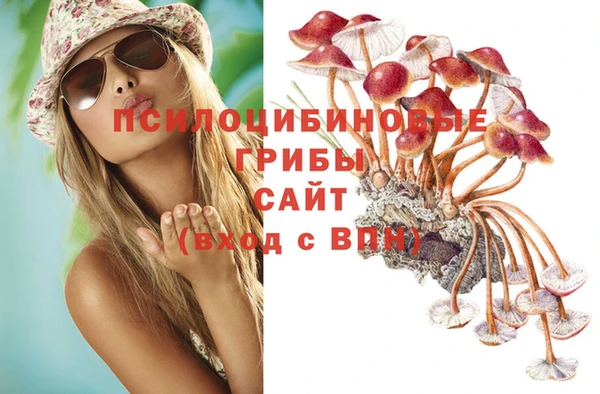 каннабис Новокубанск
