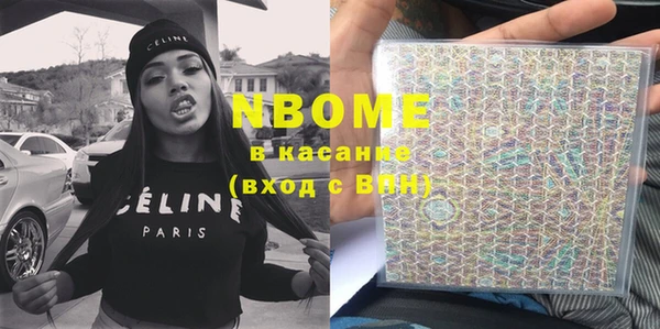 прущие грибы Новодвинск