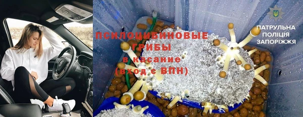 каннабис Новокубанск