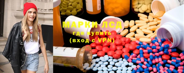 ешки Новозыбков