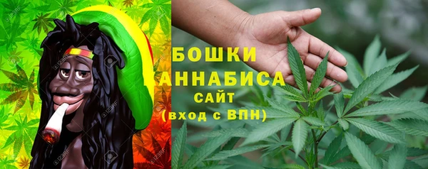 прущие грибы Новодвинск
