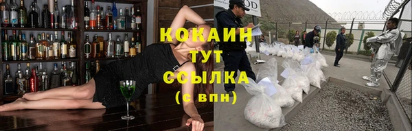 прущие грибы Новодвинск