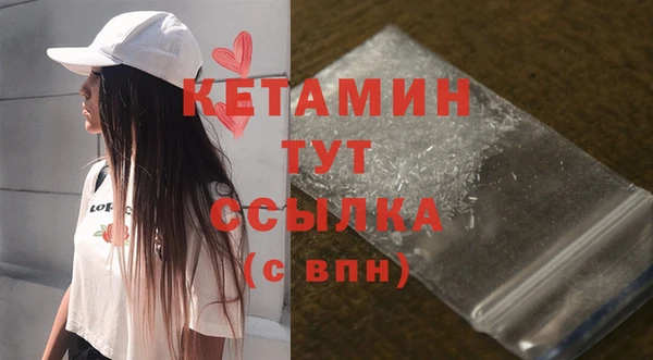 прущие грибы Новодвинск